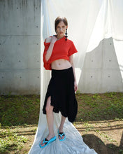 Load image into Gallery viewer, [韩国] Paes Flippy
