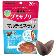 Load image into Gallery viewer, [日本] UHA 味觉糖 多种矿物质
