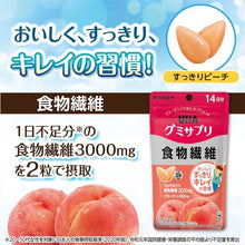 Load image into Gallery viewer, [日本] UHA 味觉糖 食物纤维
