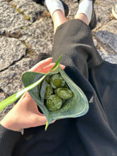 Load image into Gallery viewer, [日本] 伊藤久右卫门 宇治抹茶饼干
