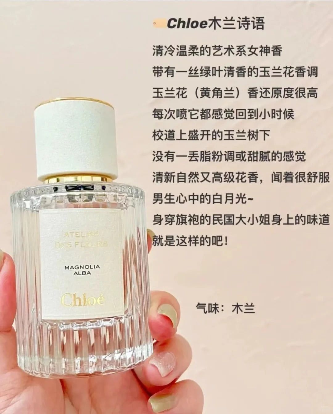 香水] CHLOÉ ATELIER DES FLEURS MAGNOLIA ALBA EDP – Shopaholicy
