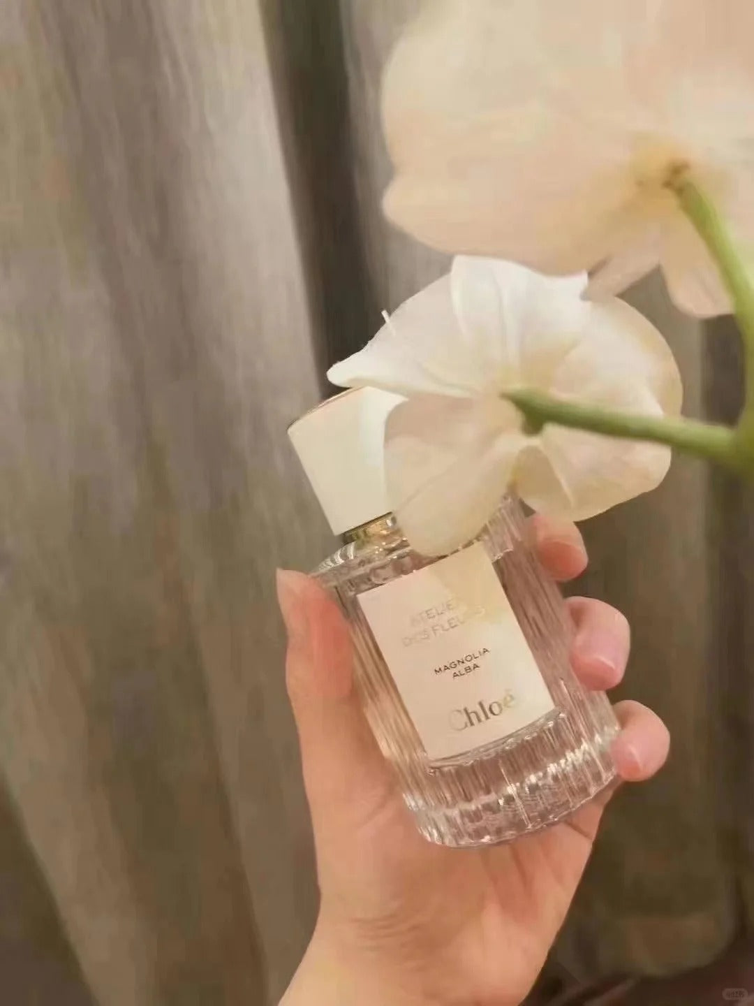 香水] CHLOÉ ATELIER DES FLEURS MAGNOLIA ALBA EDP – Shopaholicy
