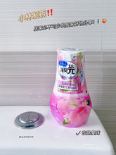 Load image into Gallery viewer, [日本] 小林制药消臭元
