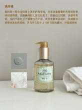 Load image into Gallery viewer, [日本] Sabon 香氛洗手液
