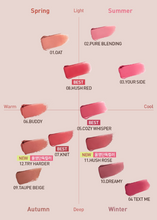 Load image into Gallery viewer, [韩国] 3CE Cashmere Hug Lipstick

