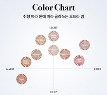 Load image into Gallery viewer, [现货] Ofra 高光盘
