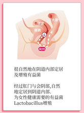 Load image into Gallery viewer, [韩国] Inner Flora 女性益生菌
