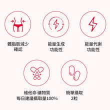 Load image into Gallery viewer, [韩国] Foodology 减脂纤体丸

