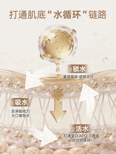 Load image into Gallery viewer, [韩国] OVMENT 05 私密凝胶
