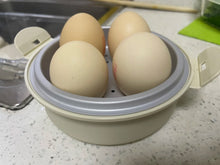 Load image into Gallery viewer, [日本] 3coins 微波蒸蛋器
