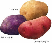 Load image into Gallery viewer, [日本零食] Calbee 北海道三色薯条
