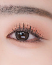 Load image into Gallery viewer, [韩国Daiso] Dinto 四色眼影盘
