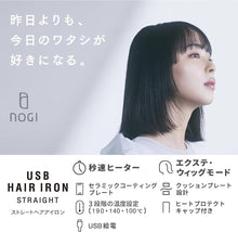 Load image into Gallery viewer, [日本] NOGI 便携电发棒
