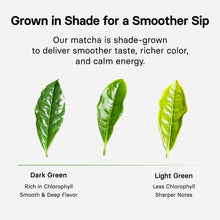 Load image into Gallery viewer, [韩国] OSULLOC 抹茶粉
