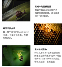 Load image into Gallery viewer, [韩国] Dr.G 皇家黑蜗牛安瓶 1+1
