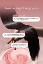 Load image into Gallery viewer, [韩国] Growus 损伤修护发膜
