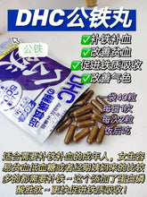 Load image into Gallery viewer, [日本] DHC 补铁丸
