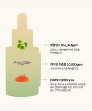 Load image into Gallery viewer, [韩国] Heveblue 三文鱼积雪草精华

