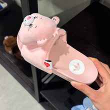 Load image into Gallery viewer, [日本] Adidas 61 CARE BEARS 托鞋
