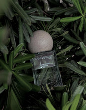 Load image into Gallery viewer, [现货] Tamburins Perfume 50ml

