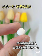 Load image into Gallery viewer, [日本] Eve 止痛药
