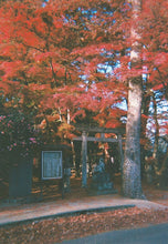 Load image into Gallery viewer, [日本] 北村 NewRetro 胶卷相机
