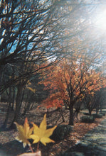 Load image into Gallery viewer, [日本] 北村 NewRetro 胶卷相机
