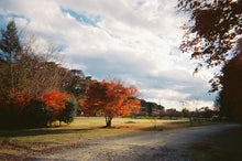 Load image into Gallery viewer, [日本] 北村 NewRetro 胶卷相机

