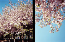 Load image into Gallery viewer, [日本]  lLFORD Rapid 半格胶卷相机
