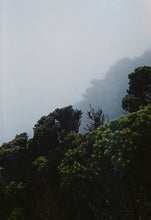 Load image into Gallery viewer, [日本]  lLFORD Rapid 半格胶卷相机
