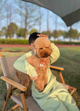 Load image into Gallery viewer, [日本] 京都 宠物御守
