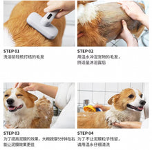 Load image into Gallery viewer, [韩国] Brmud	泥浆宠物沐浴露
