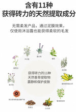 Load image into Gallery viewer, [韩国] Brmud	泥浆宠物沐浴露
