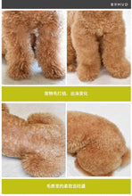 Load image into Gallery viewer, [韩国] Brmud	泥浆宠物沐浴露
