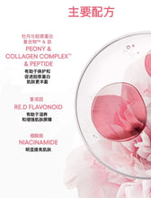 Load image into Gallery viewer, [韩国] Laneige 胶原蛋白精华
