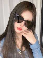 Load image into Gallery viewer, [韩国] Gentle Monster Pino
