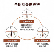 Load image into Gallery viewer, [韩国药房] Rejuall PDRN 头皮精华

