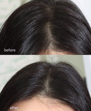 Load image into Gallery viewer, [韩国] Steambase 头皮预洗液
