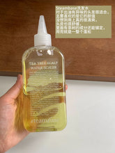 Load image into Gallery viewer, [韩国] Steambase 头皮预洗液
