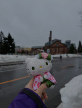 Load image into Gallery viewer, [日本] Sanrio 82 Hello Kitty 吊饰
