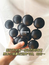 Load image into Gallery viewer, [日本] Earth 蟑螂小黑屋
