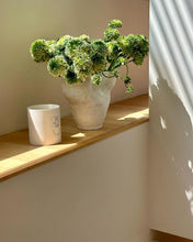 Load image into Gallery viewer, [韩国] Nonfiction 15 香薰蜡烛
