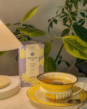 Load image into Gallery viewer, [韩国] OSULLOC 果茶包
