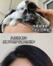 Load image into Gallery viewer, [韩国] Labo-H 防脱洗发水

