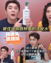 Load image into Gallery viewer, [韩国] Labo-H 防脱洗发水
