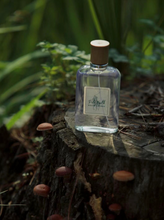 Load image into Gallery viewer, [香水] RALPH LAUREN POLO EARTH EDT
