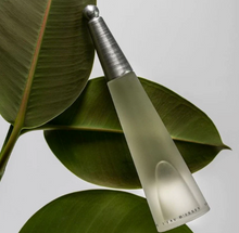 Load image into Gallery viewer, [香水] ISSEY MIYAKE L&#39;EAU D&#39;LSSEY EDT
