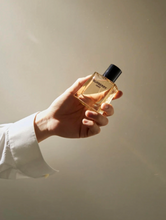Load image into Gallery viewer, [香水] BURBERRY HERO EDT
