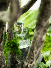 Load image into Gallery viewer, [香水] BVLGARI POUR HOMME EDP
