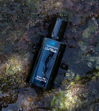 Load image into Gallery viewer, [香水] DAVIDOFF COLD WATER MAN EDT

